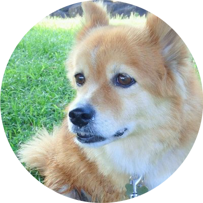 はなこのXのアイコン