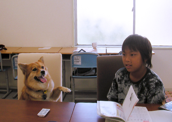 さくら塾の日常