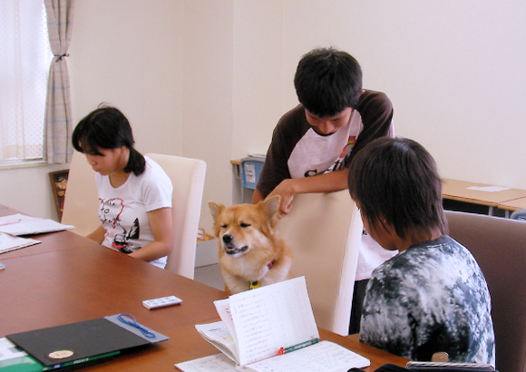 さくら塾の日常